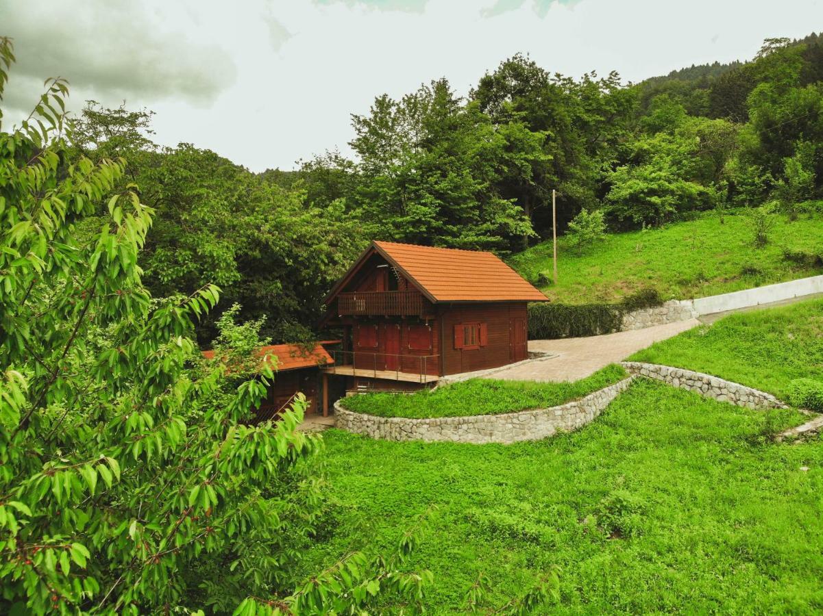 Lazec Country House Villa Pluznje Exterior foto